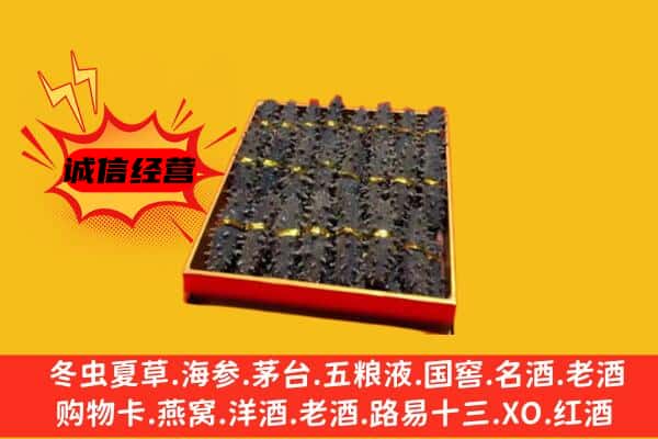 大理州云龙回收海参